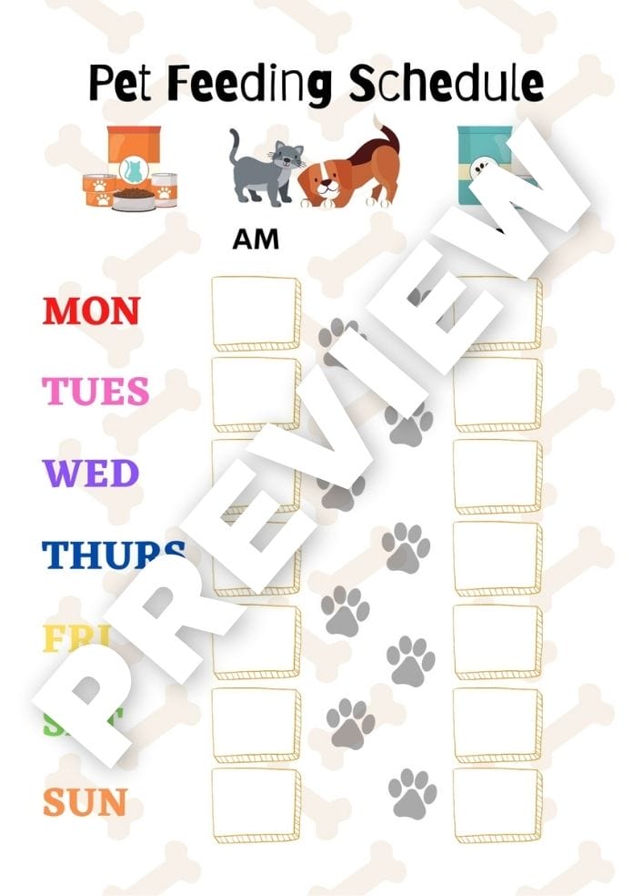 Simple Pet Feeding Schedule PetPress