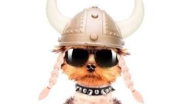 100+ Lord of the Rings Dog Names - LOTR-Inspired Names for Your Pup!