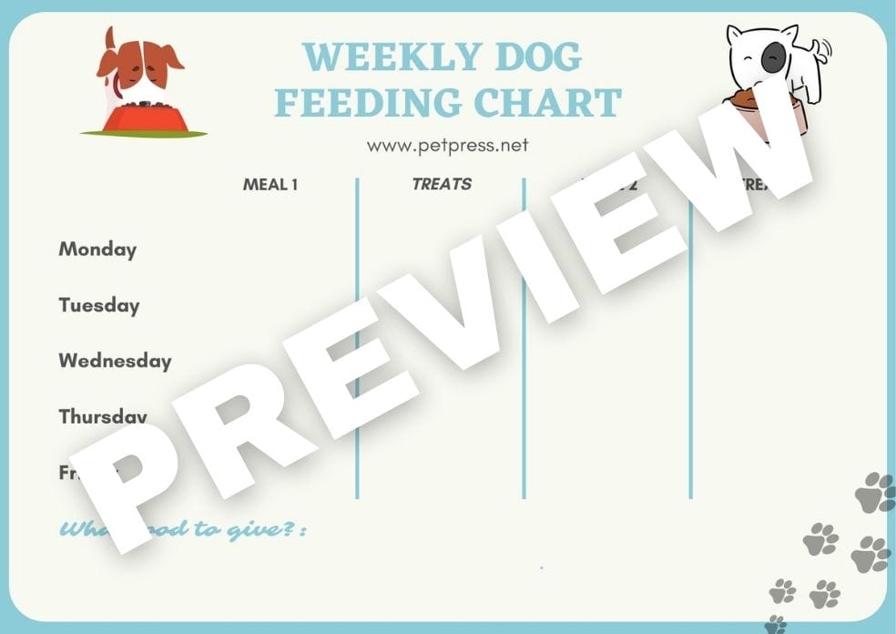 The 6 Best Pet Feeding Printables: A Guide to Feeding Your Pet The 6 Best Pet Feeding Printables: A Guide to Feeding Your Pet
