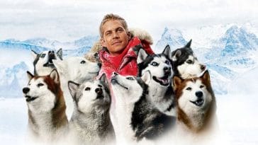 60+ Eight Below Dog Names - The Best Names Inspired by the Movie