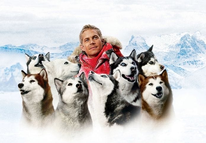 60+ Eight Below Dog Names - The Best Names Inspired by the Movie