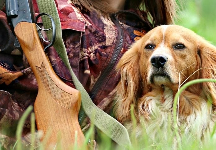 150-best-gun-dog-names-name-ideas-for-your-hunting-pooch