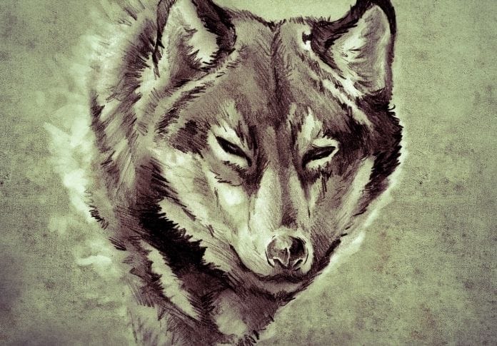 The Meaning of Wolf Tattoos: What Does This Animal Represent?