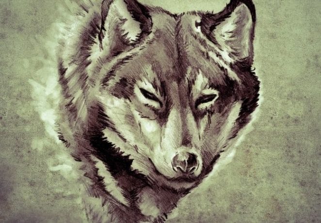 The History and Meaning of a Wolf Tattoo