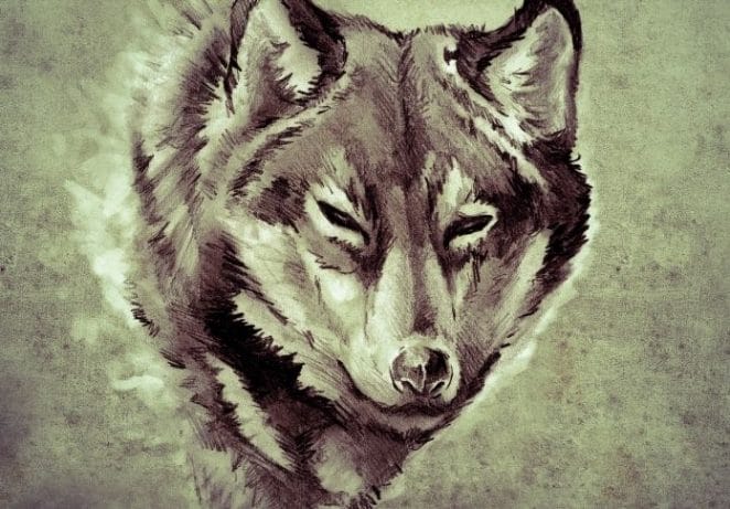 The Meaning of Wolf Tattoos: What Does This Animal Represent? The Meaning of Wolf Tattoos: What Does This Animal Represent?