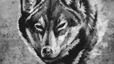 The Meaning of Wolf Tattoos - What Does This Animal Represent?