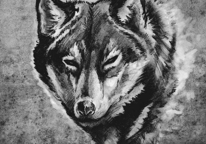 The Meaning of Wolf Tattoos - What Does This Animal Represent?