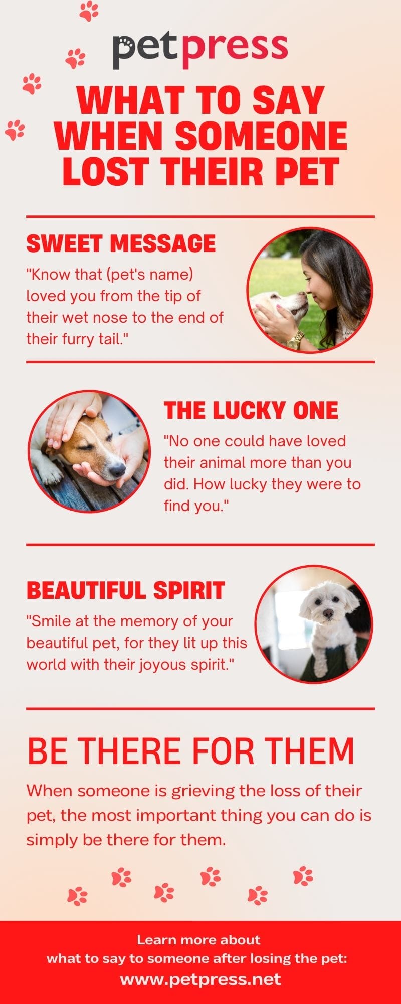 What To Say When A Friend Loses A Dog Or Cat The Dos And Don ts