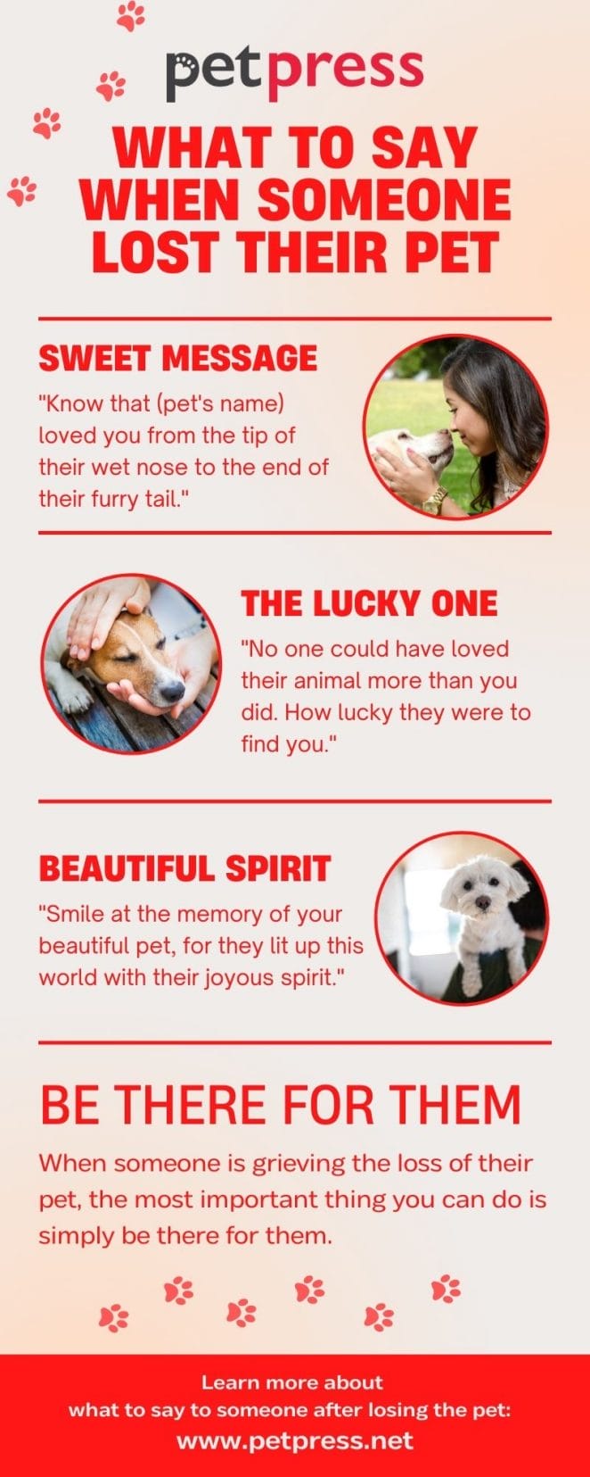 What to Say When Someone Lost Their Pet - Infographic