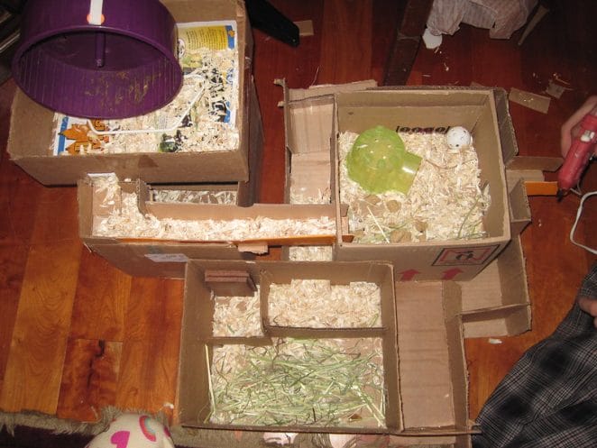 cardboard-box-maze