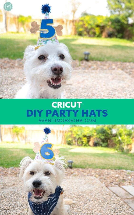 cricut-dog-birthday-hat