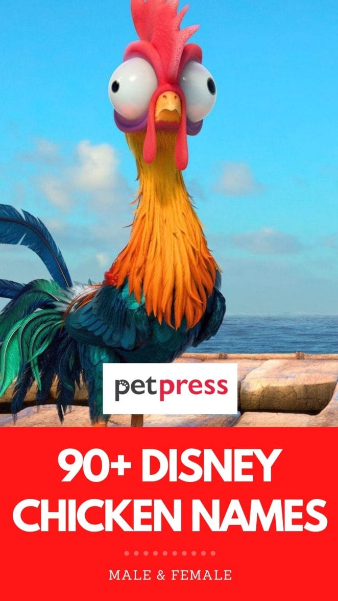 90+ Disney Chicken Names: Names Inspired by Disney Characters