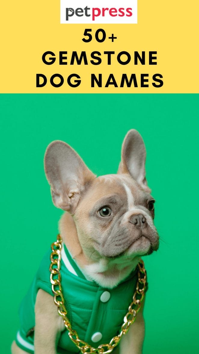 gemstone-dog-names