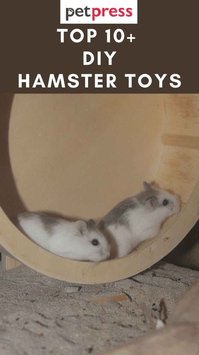 hamster-toys