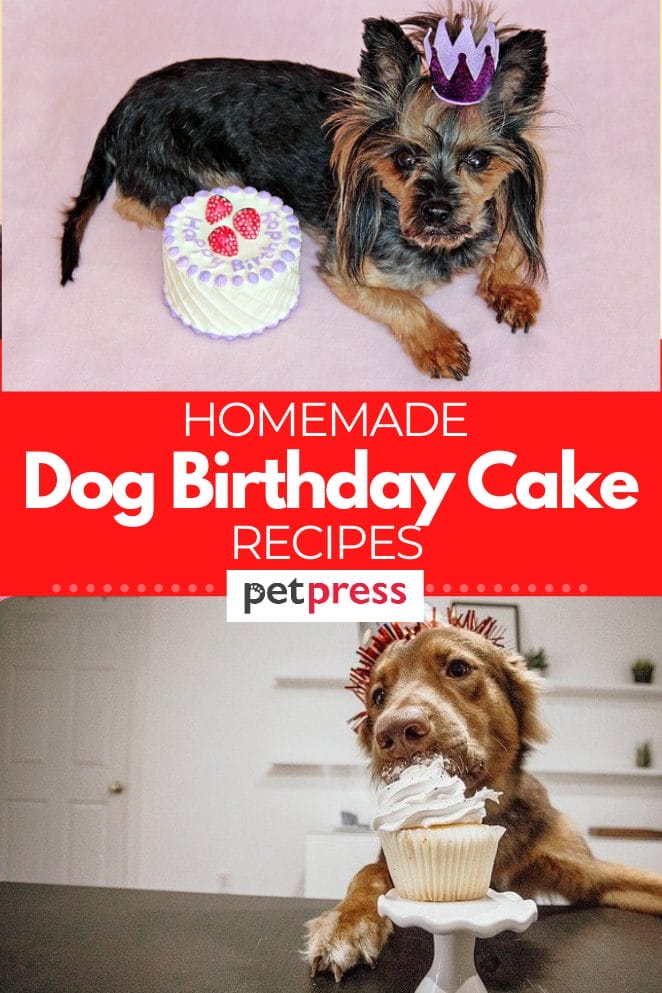 homemade-dog-birthday-cake-recipes