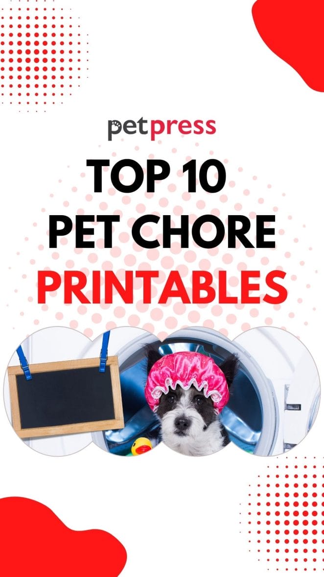 pet chore printables