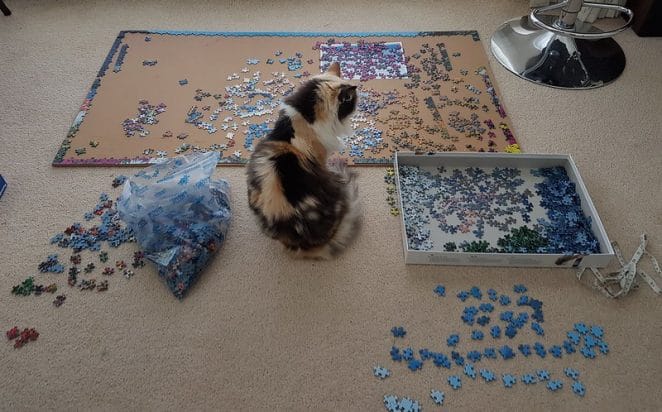 puzzle-dog-toy