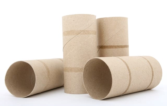 toilet-paper-roll
