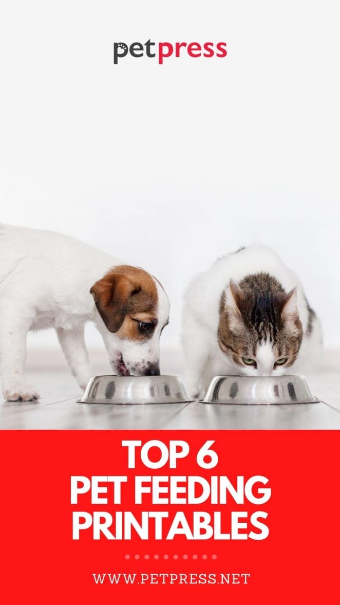 top 6 pet feeding printables
