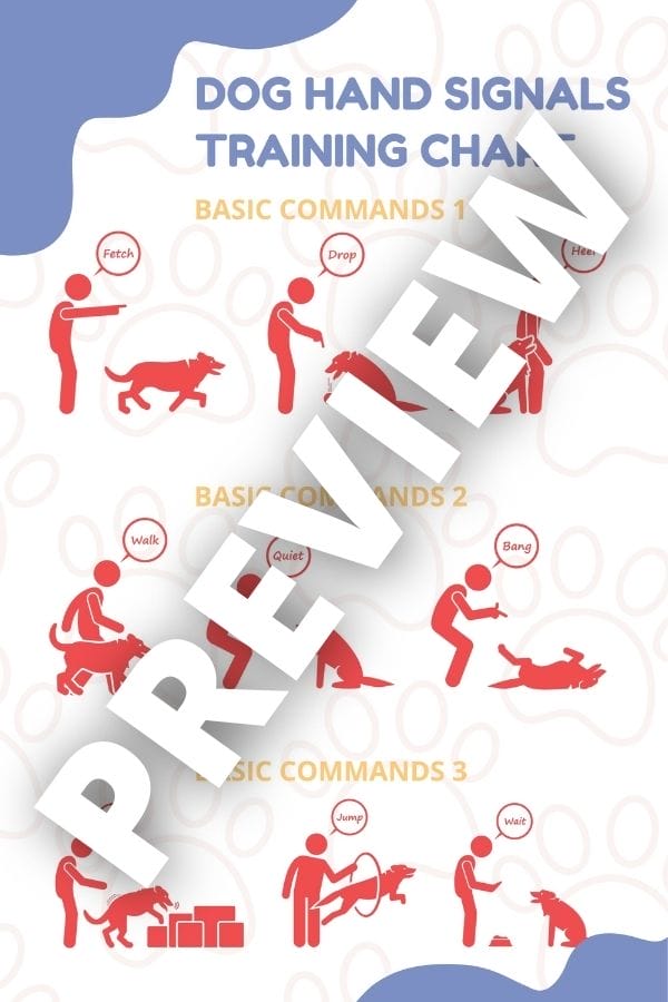 Blue & Red Dog Hand Signals Training Chart