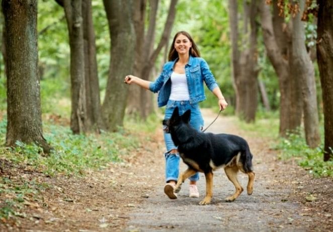 Play fetch or go for a walk together