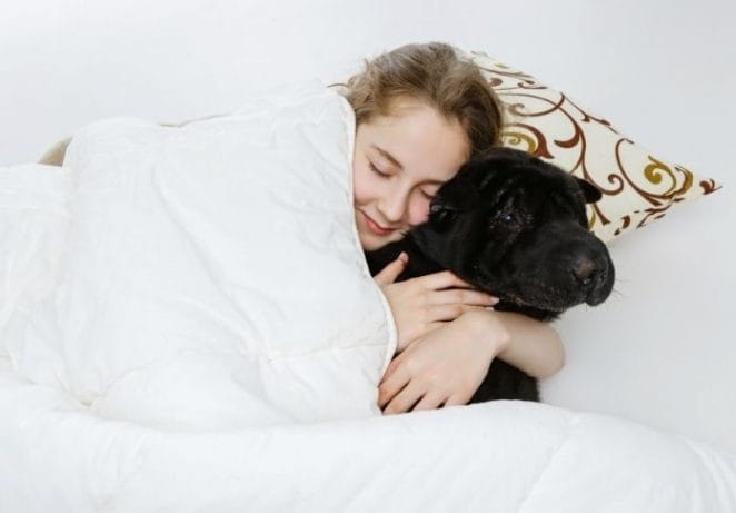 Let your dog sleep in bed with you