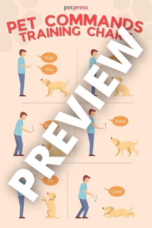 dog training hand signals chart pdf