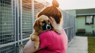 5 Ways to Celebrate National Adopt-A-Shelter-Pet Day