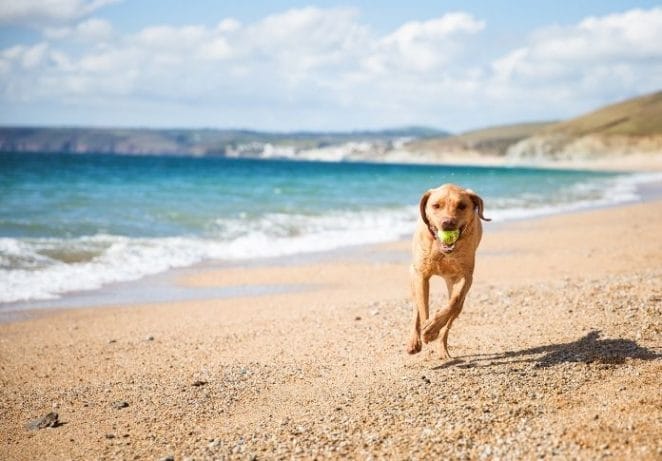 Take them to the park or beach for some fun outdoors