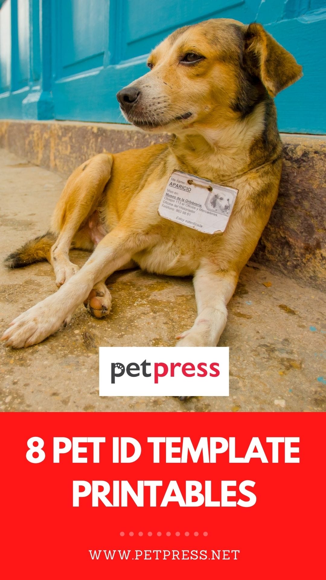 8 Best Pet ID Card Templates Free Printables