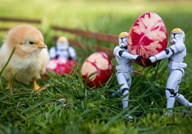 Star Wars Inspired Chicken Names for Hens