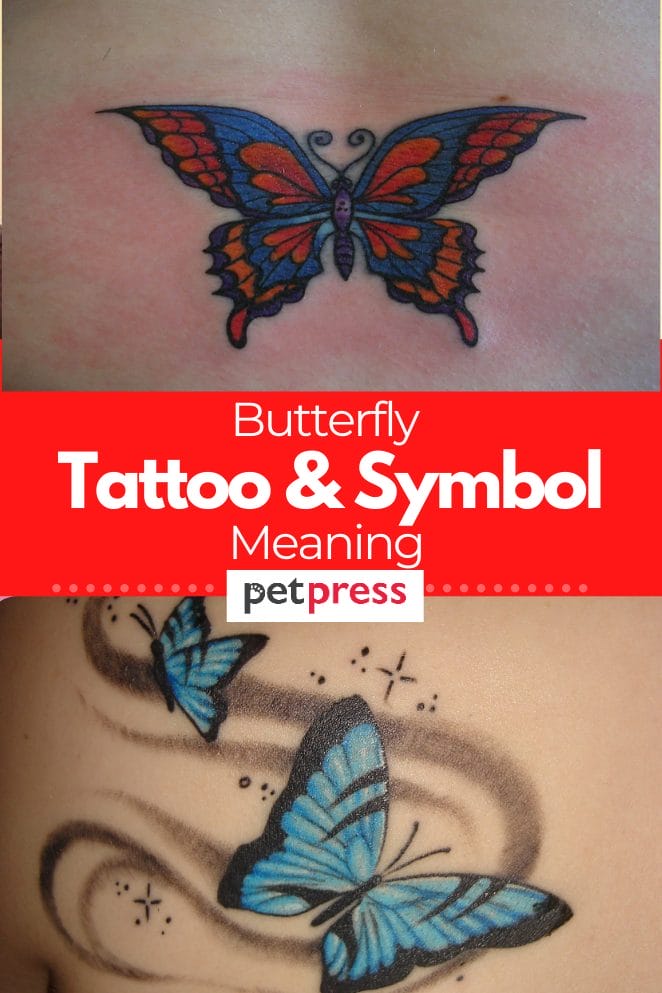 butterfly-tattoo-meanings