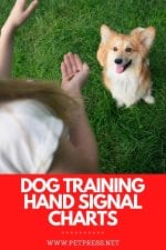 dog training hand signals chart pdf