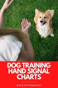 basic dog hand signals
