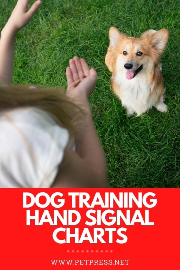 4 Best Free Dog Training Hand Signals Chart Printables