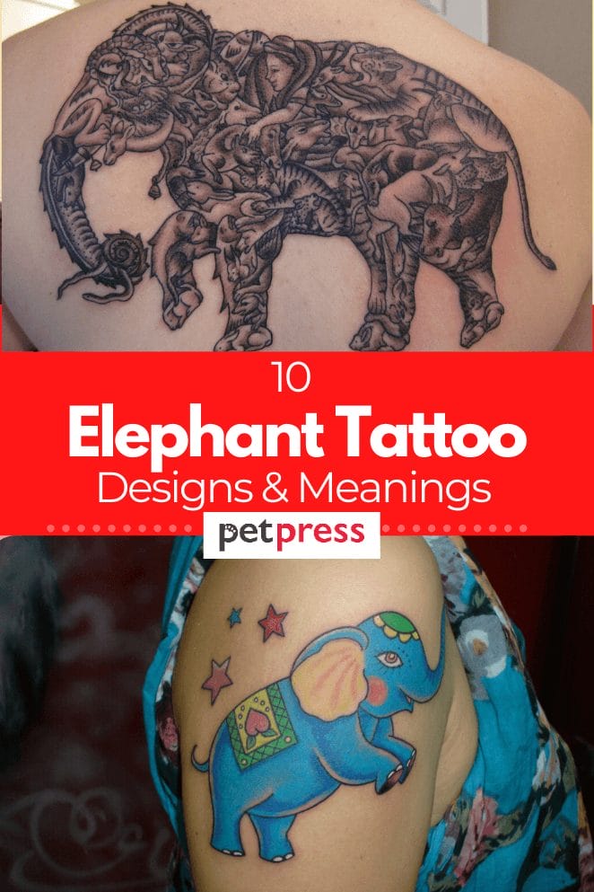 elephant-tattoo-meanings