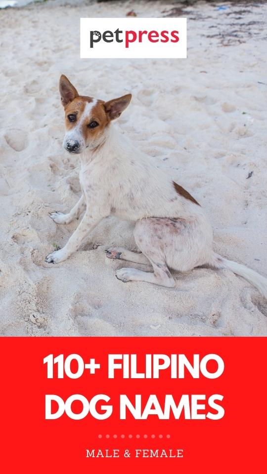 filipino dog names