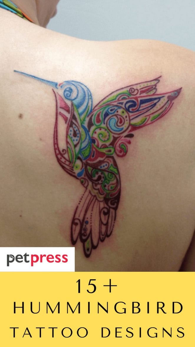 hummingbird-tattoo-designs
