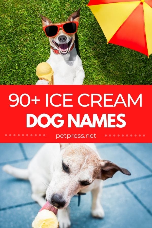 ice cream dog names