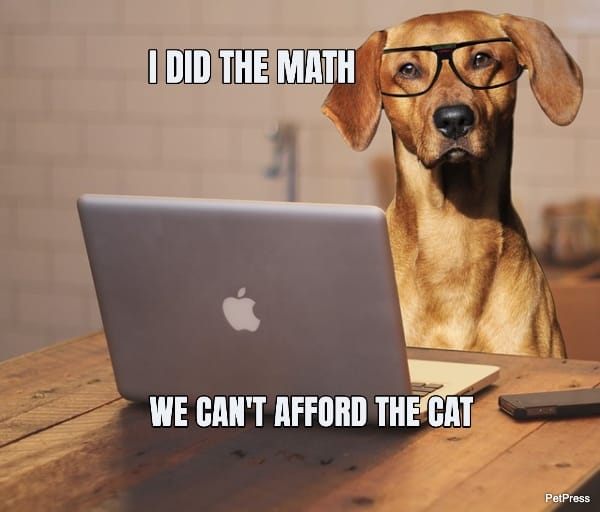 Best 10 Hilarious Dog With Glasses Memes That Will Make You Laugh