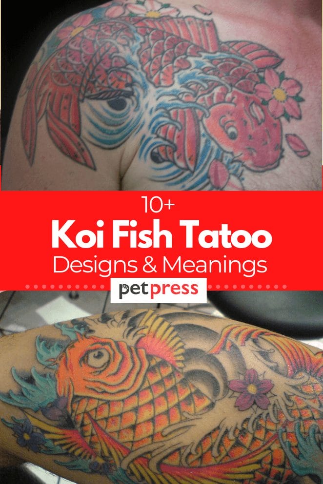 koi-fish-tatoo-meanings