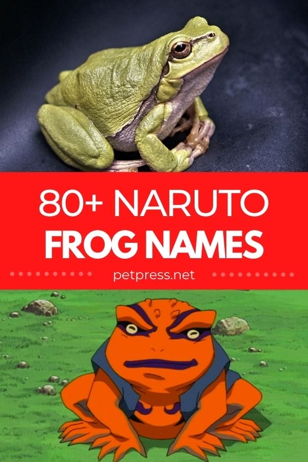 naruto frog names