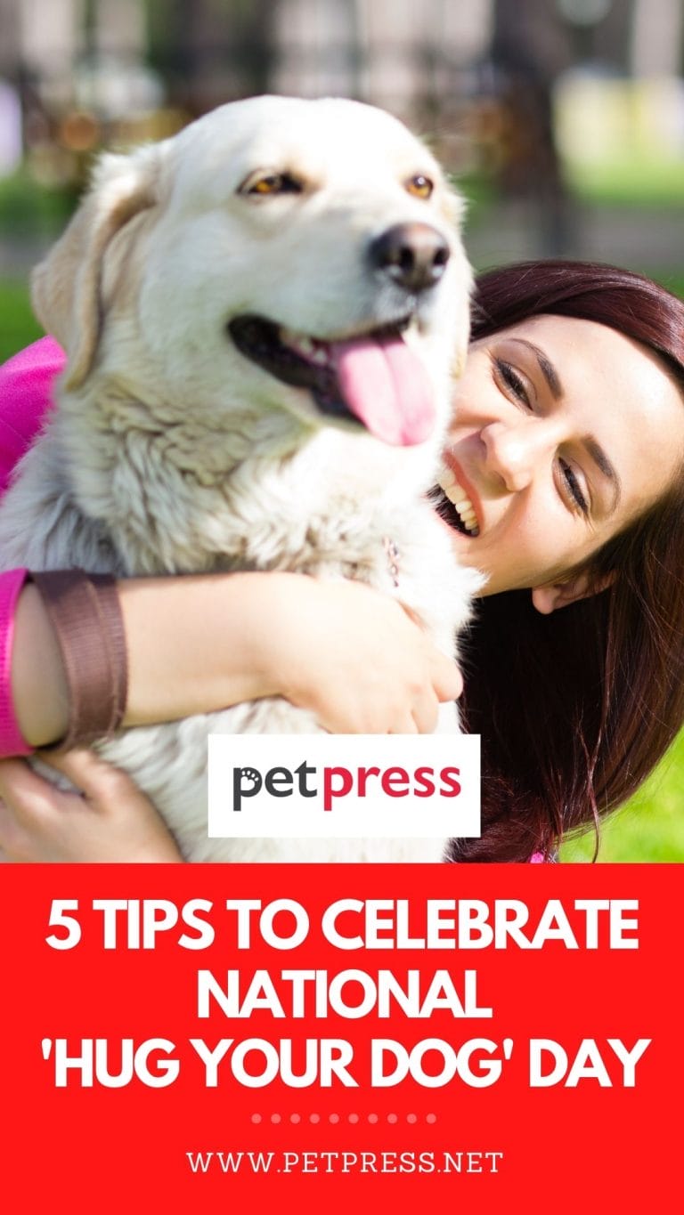 5 Tips to Celebrate National Hug Your Dog Day with Your Pup!