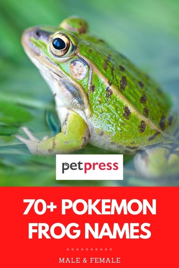 pokemon frog names