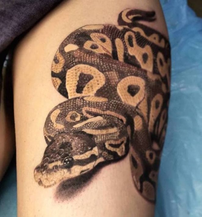 python-tattoo