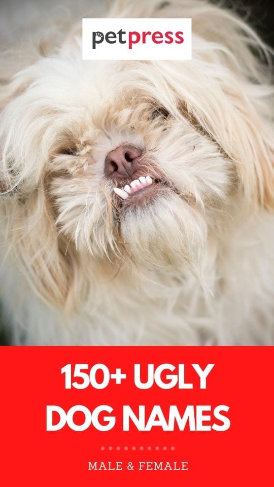 ugly dog names