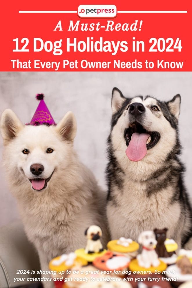 12 Dog Holidays in 2024 That Every Pet Owner Needs to Know