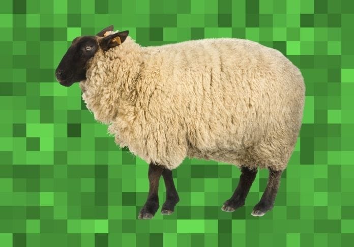 100+ Best Minecraft Sheep Names - Find the Perfect One for Your Flock!