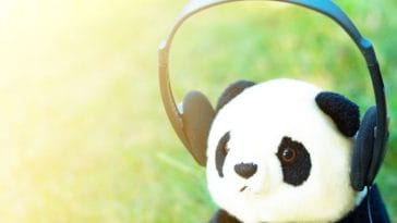 100+ Stuffed Panda Names - Best Names For A Cuddly Stuffed Panda