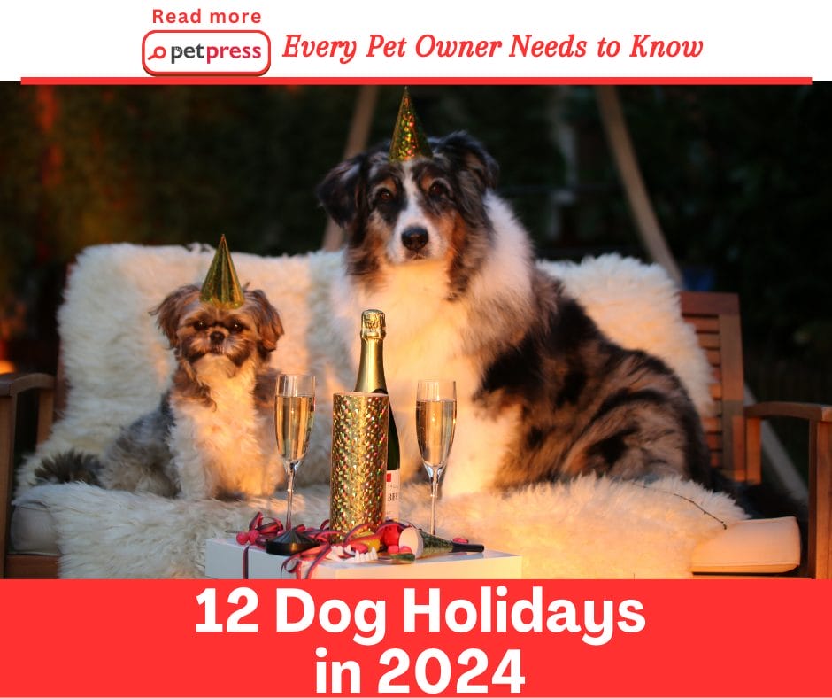 12 Dog Holidays in 2022 That Every Pet Owner Needs to Know